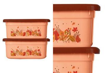 Kit 2 Potes Quadrado Floral Outono