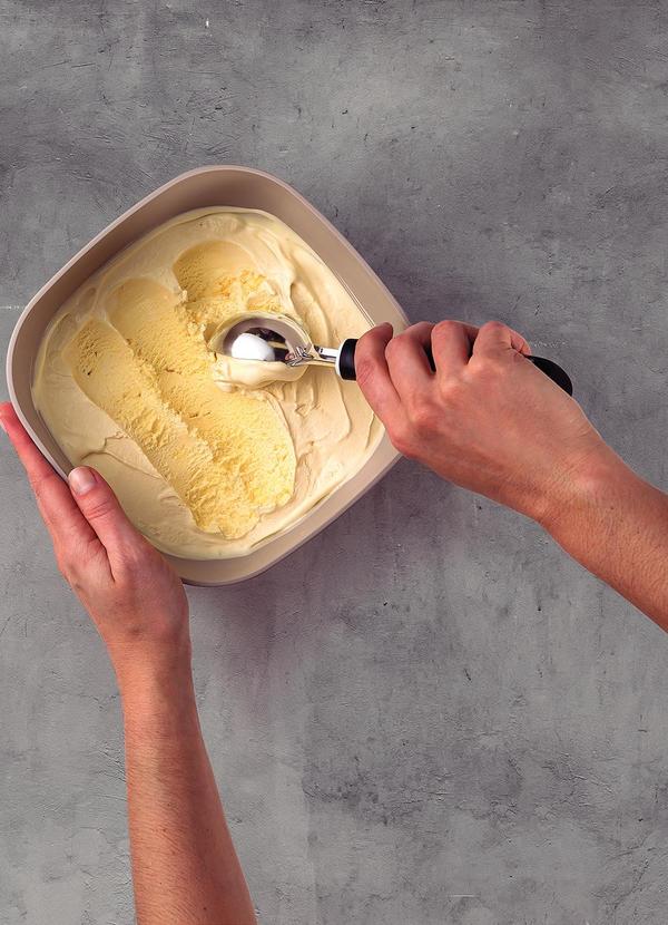 Concha para Sorvete Ao Inox