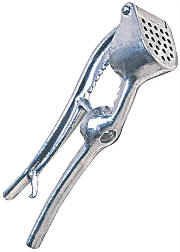 Lar e Lazer - Espremedor Alho Culinário 5 em 1