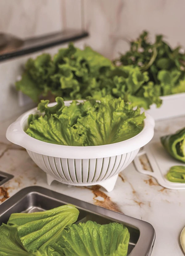 Lar e Lazer - Escorredor Lava Tudo Sortido 1